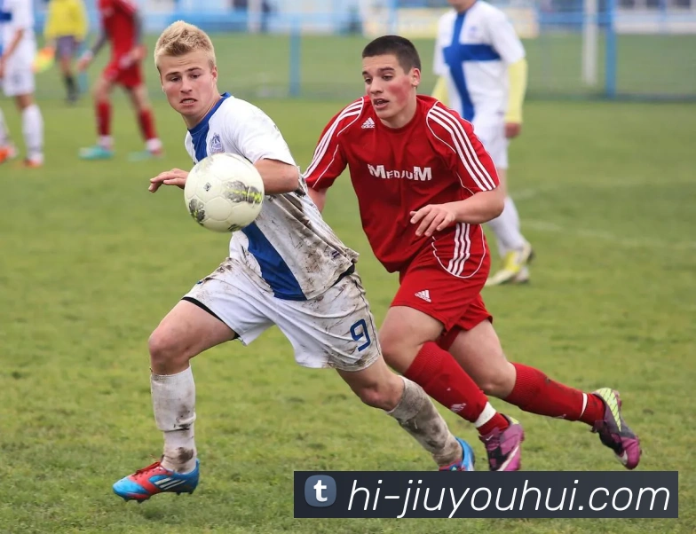 九游会官网平台生态图